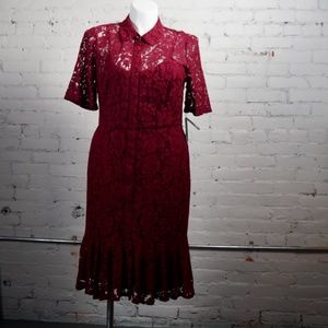 Adrianna Papell Black Cherry Lace Dress  lined 14